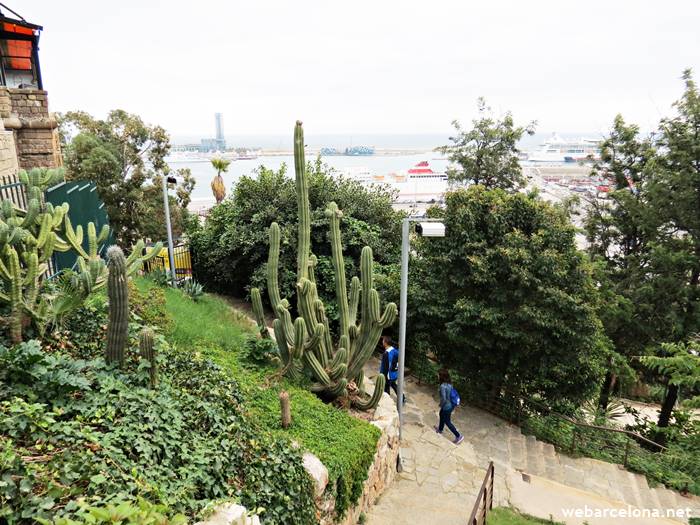 Jardins de Mossèn Costa i Llobera (Montjuïc) - Jardí de cactus