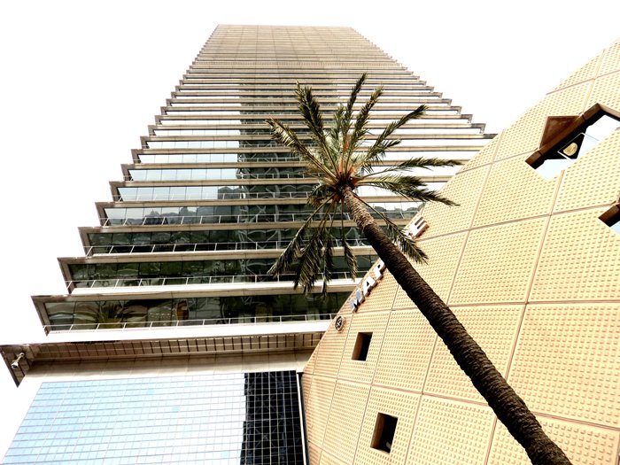 The palm tree dream. Mapfre tower at Vila Olimpica quarter